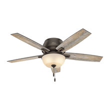 Ceiling Fans
