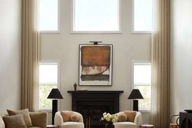 Living room - transitional living room idea in Philadelphia