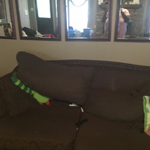 mshaylae's ideas