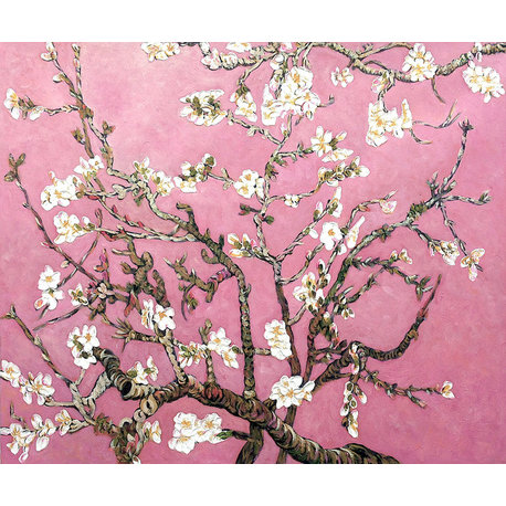 Branches of an Almond Tree in Blossom, Pearl Pink