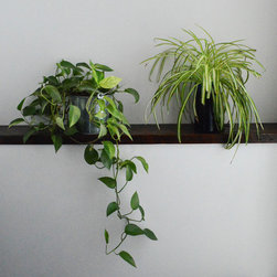 Embreate office - Home Decor