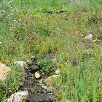Millerton Retreat: Pond