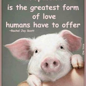 Lili Benitez's photo