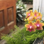 Deana Sarno Atherton's photo