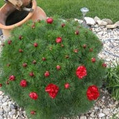 Tracy Oswald's photo