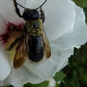 Pam Jones's photo