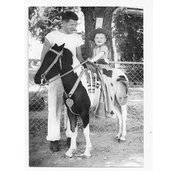 Patrick Lee's photo
