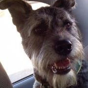 Bettina Wehner's photo