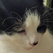 Lois Christensen's photo