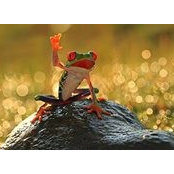 Kara Rennert's photo