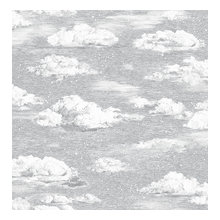 walls, wallpapers etc.