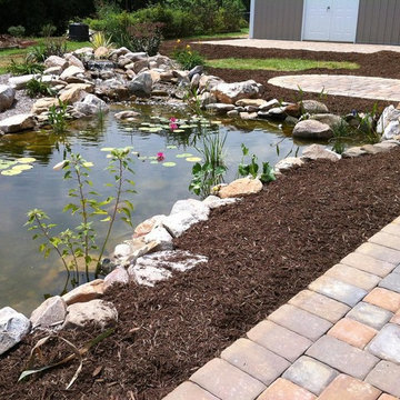 Ponds and Streams