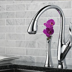 Be Bold with Brizo - Kitchen Products