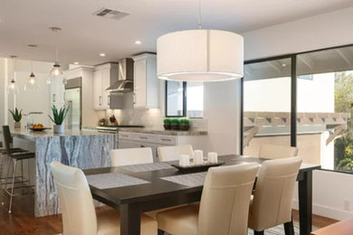 Home design - 1950s home design idea in San Diego