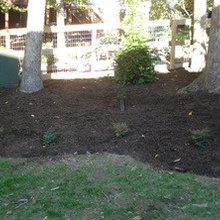 outside mulch
