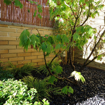 Pequeño jardín estilo japonés