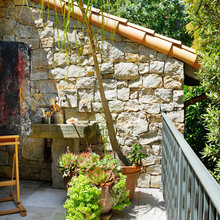 Patio Plants