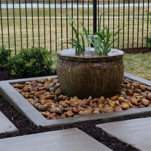 backyard landscape
