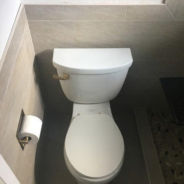 BATHROOM - Contemporary Tub-To-Shower 12 x 24 TanTile and Linear Mosaic Accent