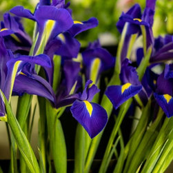 Spring 2018 - Gardening And Lawn Care