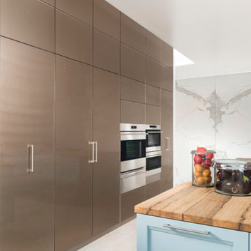 Back Painted Glass Cabinets and Wolf Appliances