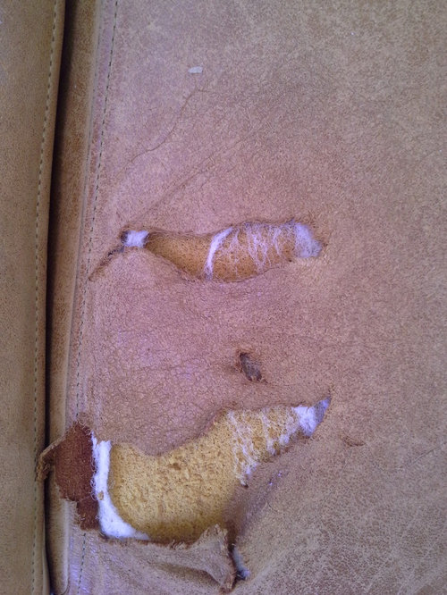Fixing Holes In A Nubuck Leather Couch We Inherited A Nubuck Leather Couch From My Pas In Law The Is About 25 Years Old Now Our Young Children Have Worn Holes It How Do I Fix