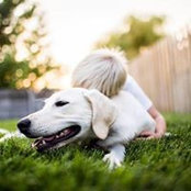 Daniel Melia's photo