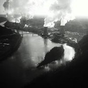 Matthew Higgins's photo