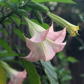 P S's photo