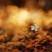 Fatima Tomi's photo