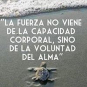 Anita D'Antoni's photo