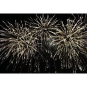 Mary Molicki's photo