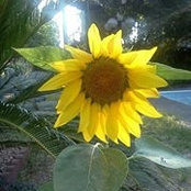 Darla Patterson's photo