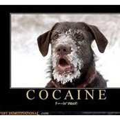 Patrick Caine's photo