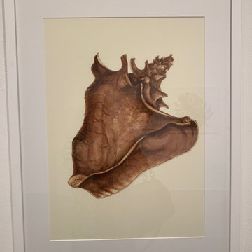 Palm Beach Cultural Art Gallery Solo Exhibit