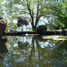 Landscape Ideas
