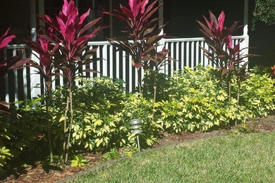 Design ideas for a landscaping in Tampa.