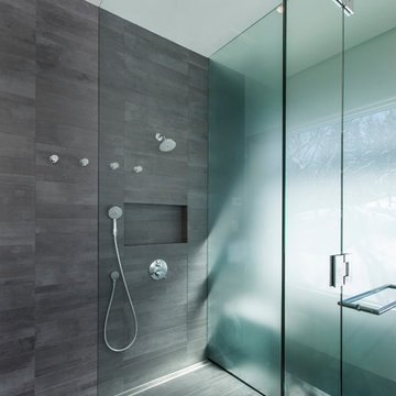Aspen / Contemporary / Curbless shower