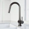 VIGO Gramercy Pull Down Kitchen Faucet, Graphite Black