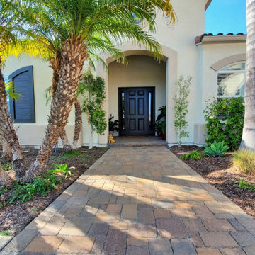 Driveway/Front yard Remodel