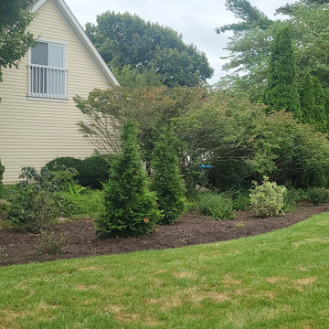 2025 Garden Highlights