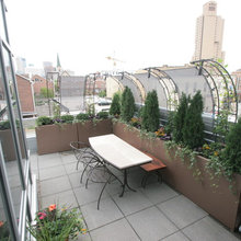 Rooftop Garden