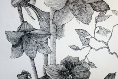 Amaryllis
