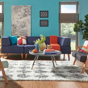 Midcentury Living Room