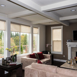 Roller Shade project - Sammamish Wa - Roller Shades