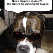 Erin Courcelles's photo