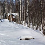 Sylvia Halsey's photo