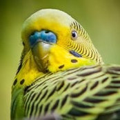 Rebecca Barr's photo