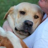 Bobbi Swartz's photo
