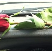 Robin Yvette's photo